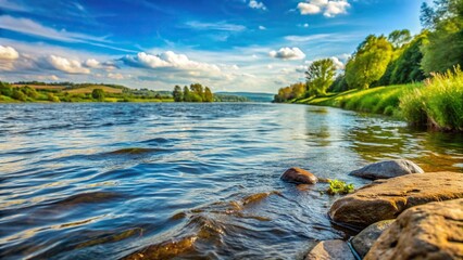 Obraz premium Extreme close-up shot of a pick on the coast of the river Fulda