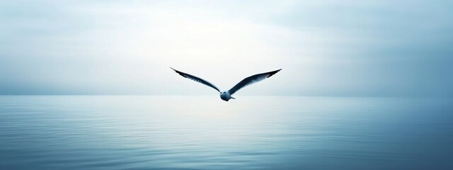 A seagull flying over a quiet sea with no other elements.