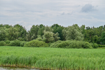 Panorama-Blick auf den deutschen Fluss Havel mit grünen Bäumen bei Brandenburg an der Havel,...