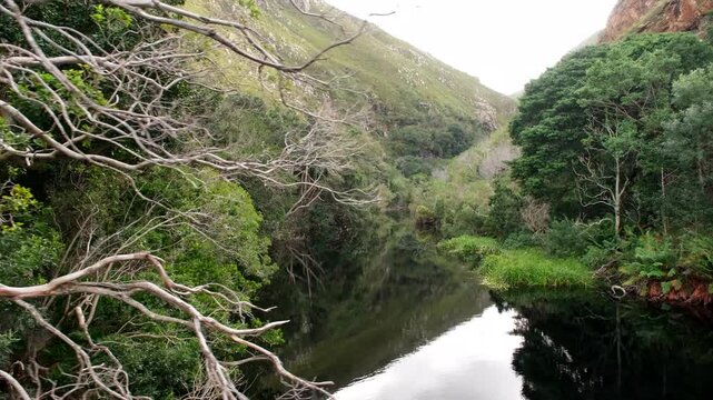 Calm nutrient rich water of Disa Kloof trail dam in valley surrounded by trees