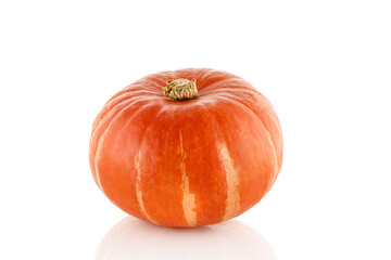 Pumpkin isolated on white. Halloween pumpkins. Fresh and ripe