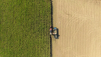 Sugarcane cutting truck top view.
