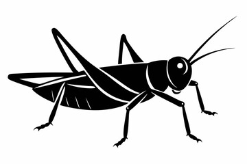 Grasshopper silhouette, Grasshopper icon, vector illustration isolated on white background
