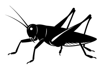Grasshopper silhouette, Grasshopper icon, vector illustration isolated on white background
