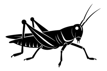 Grasshopper silhouette, Grasshopper icon, vector illustration isolated on white background
