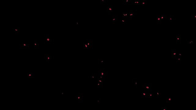 Red Rose Petals Falling on Alpha Channel Loop. Red Rose petal falling on alpha channel place on footage or background and easier to change colour in a seamless loop.
