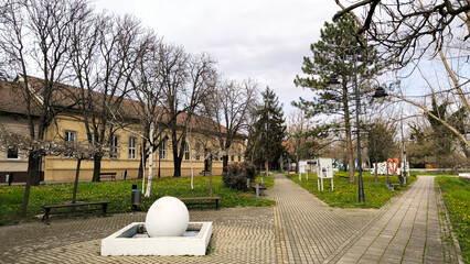 spring in rural village Backi Petrovac, Vojvodina
