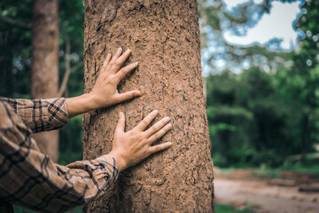 A male hand hugs a tree, symbolizing love for nature and the environment. This act represents the importance of trees in preventing global warming and restoring environmental balance, as seen