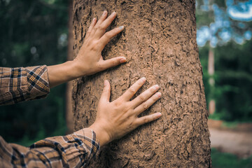 A male hand hugs a tree, symbolizing love for nature and the environment. This act represents the importance of trees in preventing global warming and restoring environmental balance, as seen