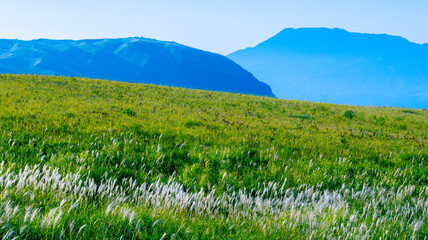 草原と山々とススキ。阿蘇山