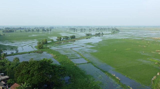 Ariel view shot of West Bengal flood by river Damodar and Mundeshwari in rainy season.