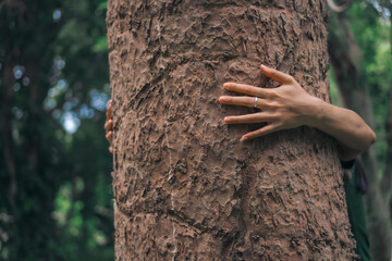 A male hand hugs a tree, symbolizing love for nature and the environment. This act represents the importance of trees in preventing global warming and restoring environmental balance, as seen