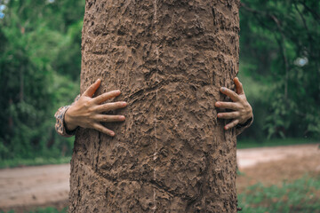 A male hand hugs a tree, symbolizing love for nature and the environment. This act represents the importance of trees in preventing global warming and restoring environmental balance, as seen