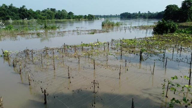 Ariel view shot of West Bengal flood by river Damodar and Mundeshwari in rainy season.