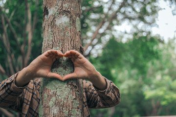 A male hand hugs a tree, symbolizing love for nature and the environment. This act represents the importance of trees in preventing global warming and restoring environmental balance, as seen