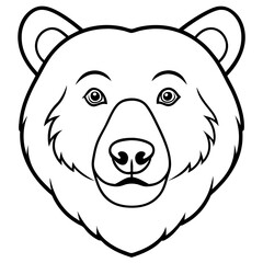 Bear head, on white background