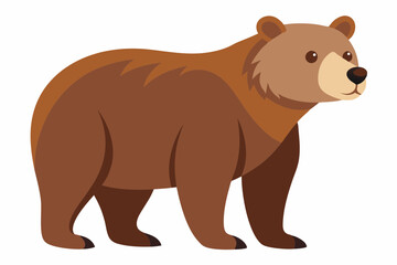 brown bear vector illustration