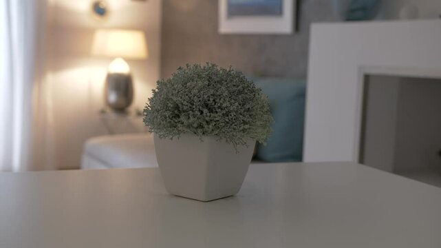 slow establishing shot of a flower pot placed ontop of a table in a home