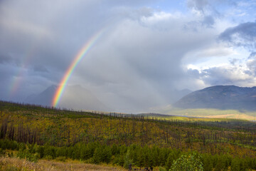 Fototapeta premium A rainbow at sunrise in Glacier National Park