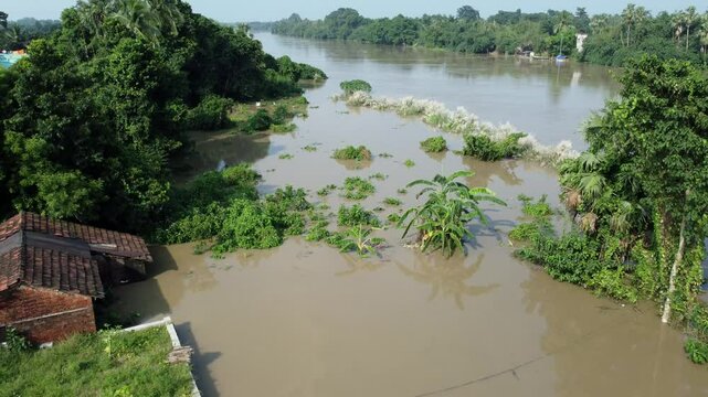 Ariel view shot of West Bengal flood by river Damodar and Mundeshwari in rainy season.