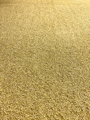 Malt in a brewery as a background.