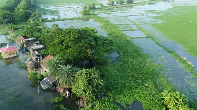 Ariel view shot of West Bengal flood by river Damodar and Mundeshwari in rainy season.