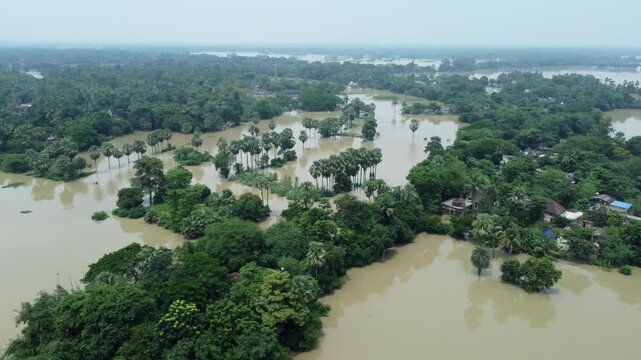 Ariel view shot of West Bengal flood by river Damodar and Mundeshwari in rainy season.