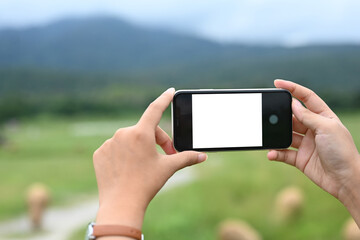 Woman holding a smartphone taking a picture of scenic landscape with mountains in the background.