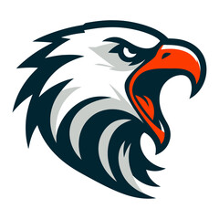 Bald eagle vector and illustration