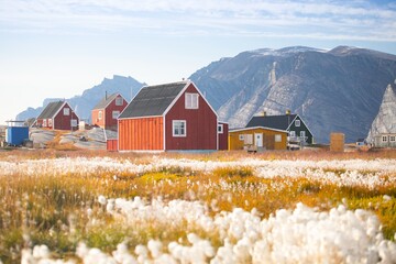 Panoramic view of colorful village in East Greenland.
Houses in the small village during summer sunny day. Icebergs and mountains in the background. Typical buildings for Greenland. Romantic landscape
