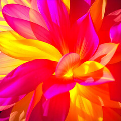 Obraz premium Vibrant Explosion of Abstract Petals A Colorful Art Piece