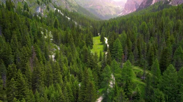 Aerial drone dolly above winding forest trail in the scenic valley of Vallunga, Langental, South Tyrol, Italy with vibrant lush green foliage and trees