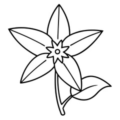 Vibrant Borage Flower Vector Featuring Unique Star Shaped Blooms
