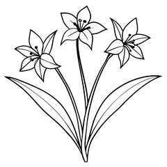 Beautiful Vector Illustration of Clustered Spiderwort Flowers in Bloom
