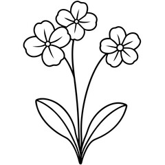 Charming Vector Illustration of a Small Bunch of Primrose Flowers
