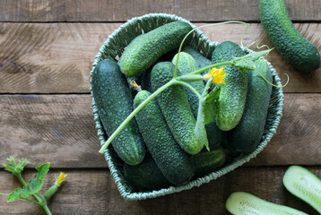 fresh green cucumbers on a wooden background. concept: love for natural products. heart-shaped...