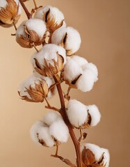Fluffy branches of dried cotton flowers, adding a natural and warm feel to the beige background. generative ai