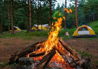 A vibrant campfire burning in a pine forest, with camping tents and equipment nearby.
