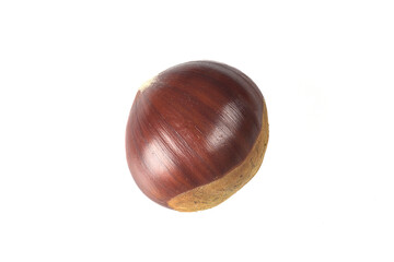 One chestnut isolated on white background. Autumn fruits concept
