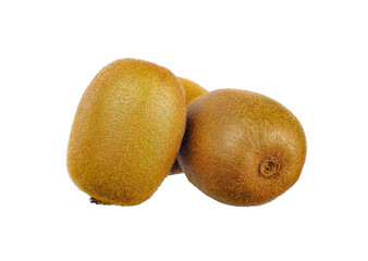 Kiwi fruit isolated on white background