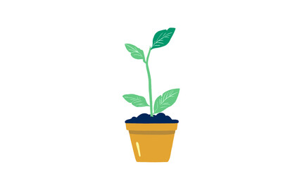 plant in pot with leaves