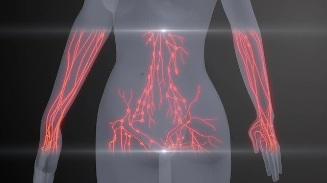 Future X-Ray Human Lymphatic Examination