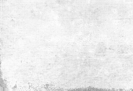 Canvas primed texture effect. D