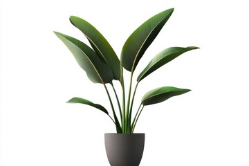 Fototapeta premium lily of the valley in vase on white background