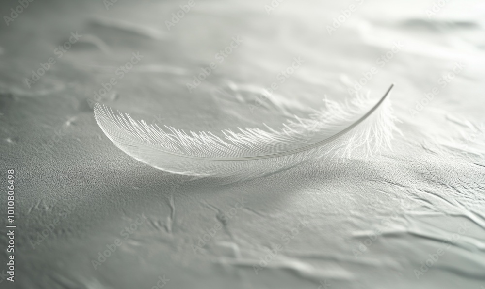 Poster minimalist close-up of a single feather lying on a smooth, white surface, with delicate shadows and 