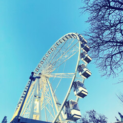 ferris wheel at night