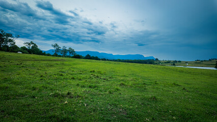 Fototapeta premium The photo shows a morning scene at a ranch in The Hunter Vally in Australia