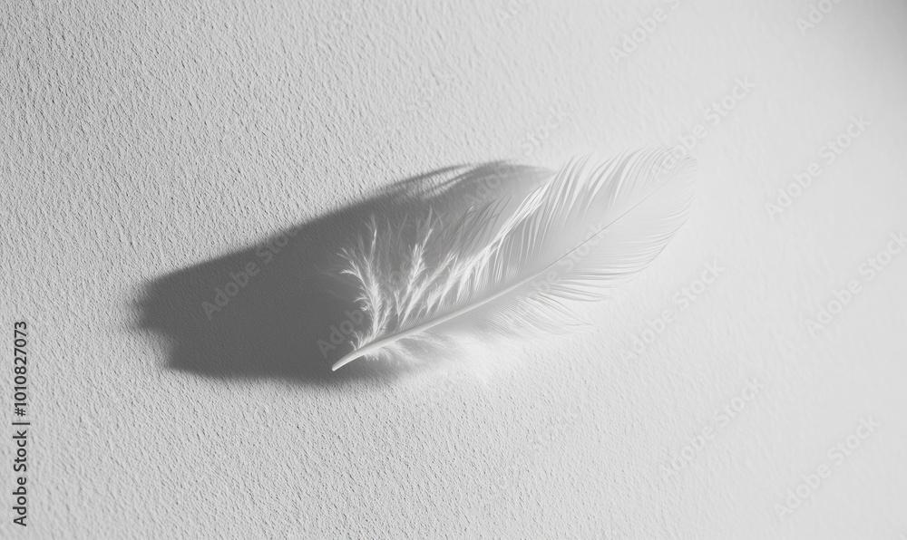 Poster minimalist close-up of a single feather lying on a smooth, white surface, with delicate shadows and 