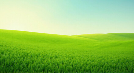 Obraz premium green field and blue sky