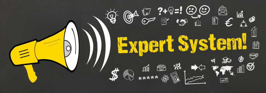 Expert System!